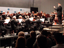 Interior auditorio carpa